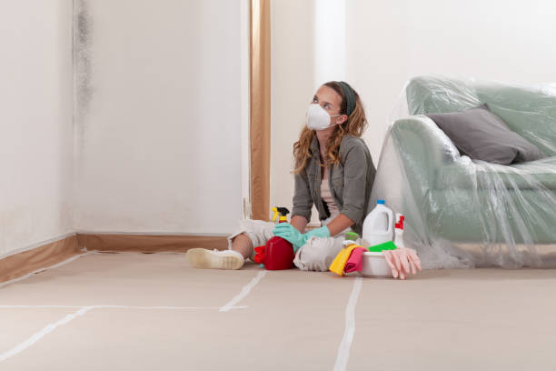 Reliable Mold Testing contractor in Greensboro, GA by WQB Mold Removal